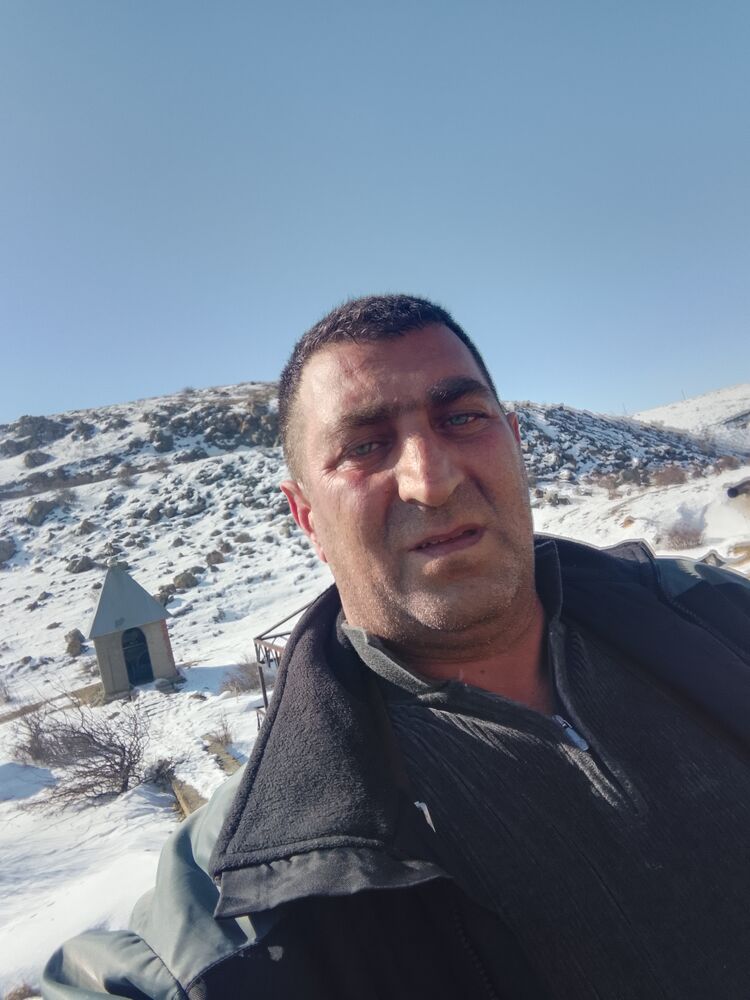  49952685  , 44 ,    -