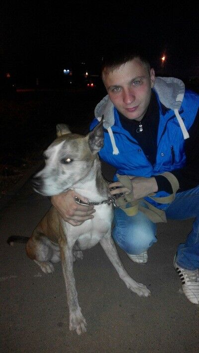 ���������� �����, ���� ������� ������, 31 ���, ������������ ��� ������, ����� � ���������, c�������� ���������