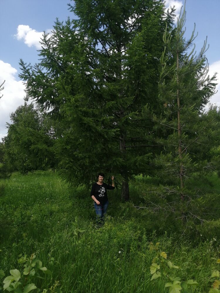 ���� 53502605 ������� ������, 63 ����, ���� ���������� � ���������