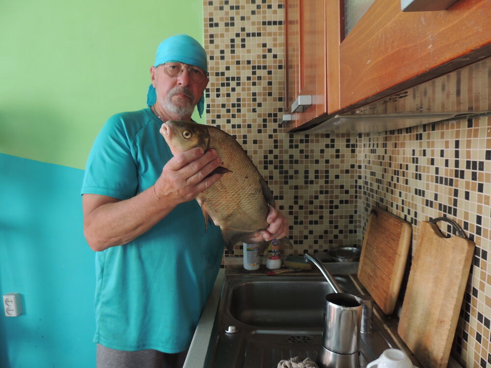 ���������� ����, ���� ������� ������, 72 ����, ������������ 