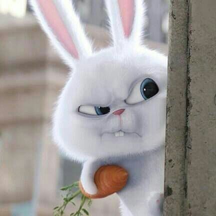 ���� 10802855 ������� �����, 39 ���, ���� ���������� � ����