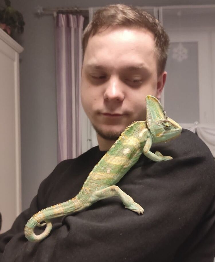 ���������� ������, ���� ������� Philipp, 29 ���, ������������ ��� c�������� ���������