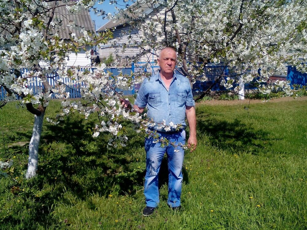  ,   , 71 ,  