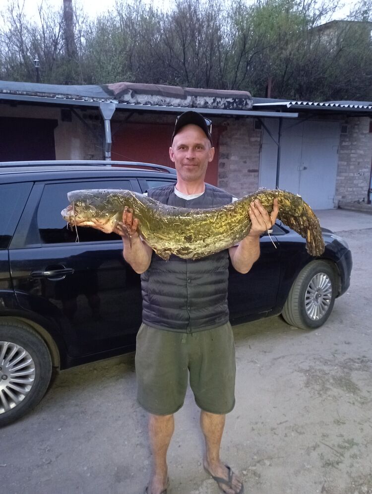 ���������� ����������, ���� ������� �����, 51 ���, ������������ ��� ����� � ���������, c�������� ���������