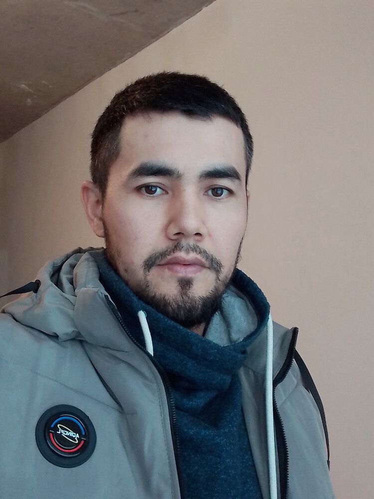 ���� 31291775 ������� ����, 34 ����, ���� ���������� � ������