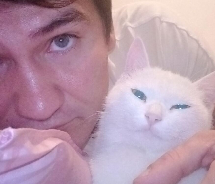 ���������� �������, ���� ������� �������, 31 ���, ������������ ��� ������, ����� � ���������, c�������� ���������