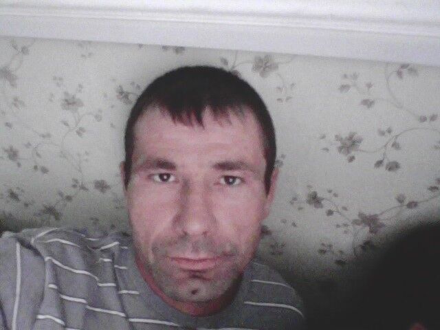  ,   Wolf, 41 ,   