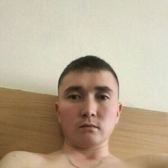  36043315  , 34 ,    