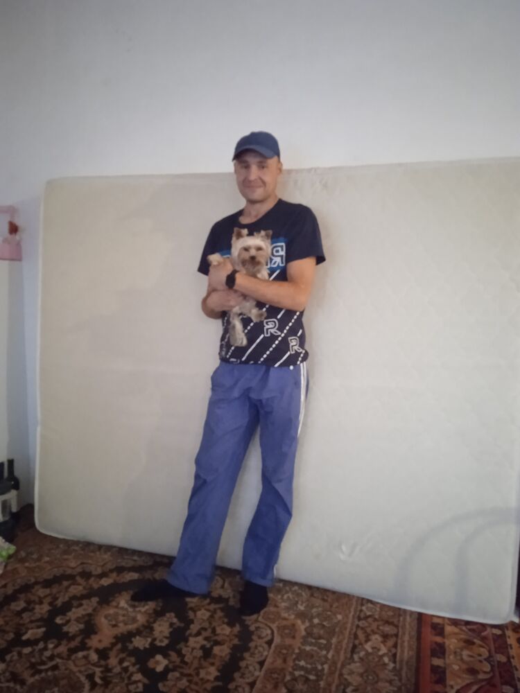  26550545  , 43 ,    