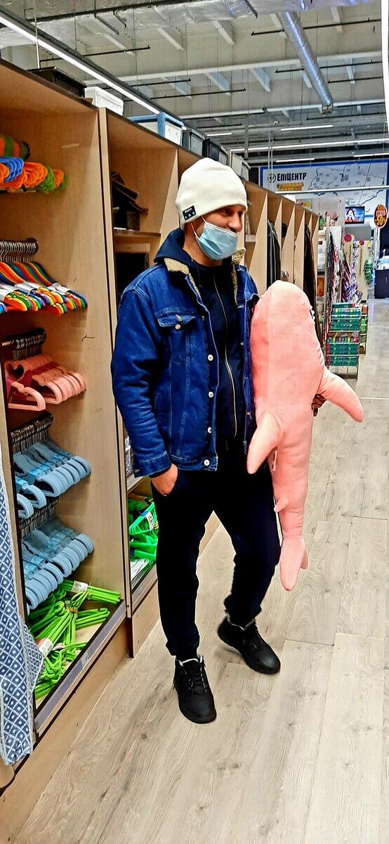 ���������� ����, ���� ������� ���, 43 ����, ������������ 