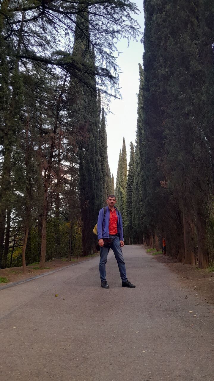  44236945  , 42 ,    