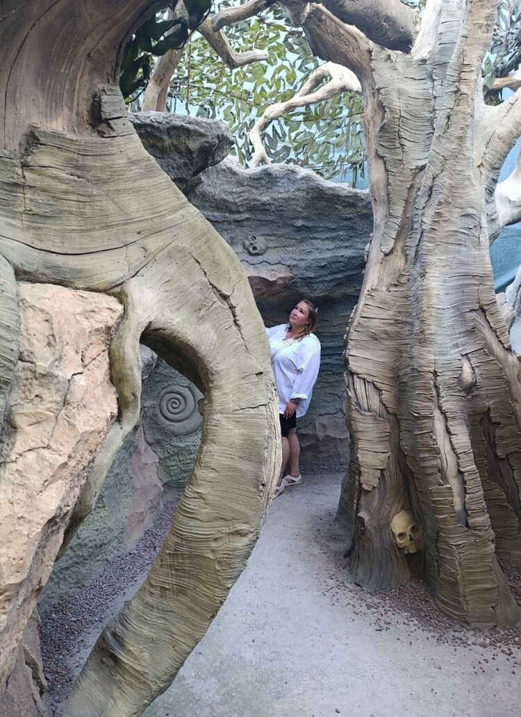  53892755  No, 35 ,    -