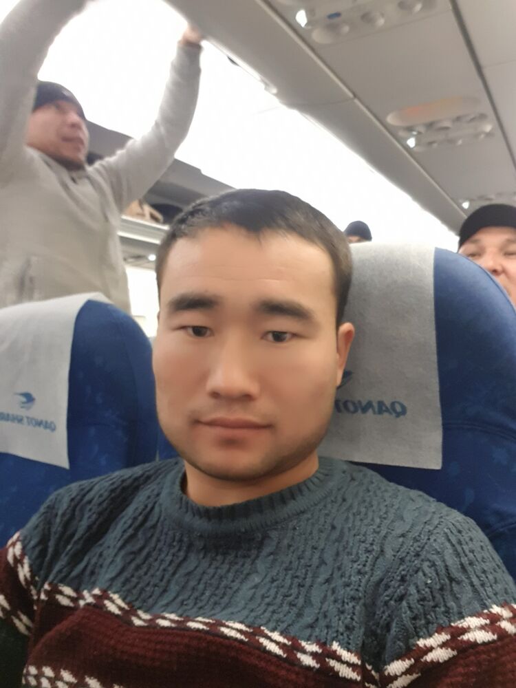  33237325  , 31 ,    
