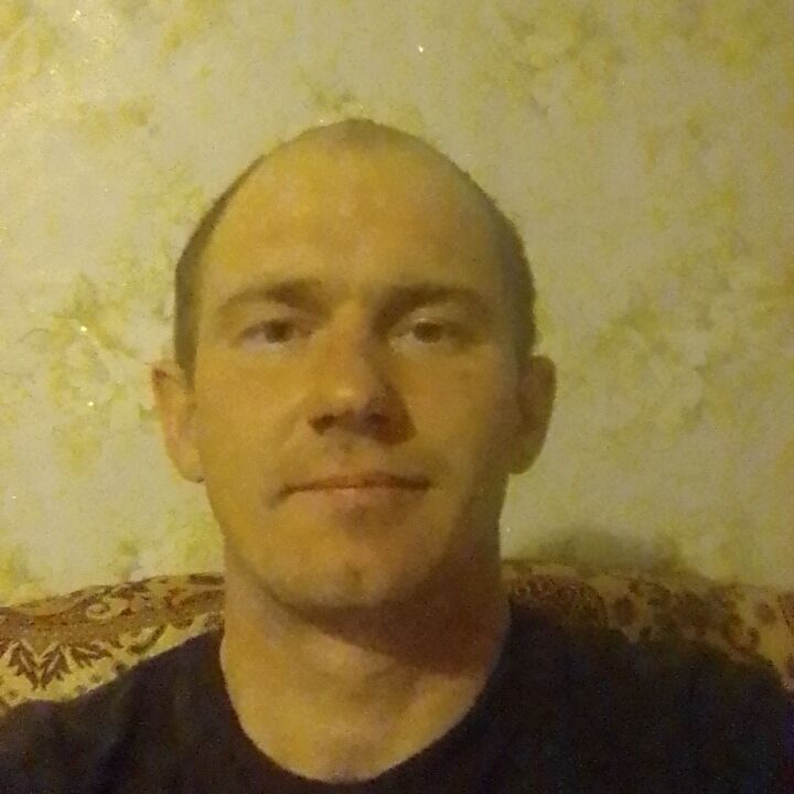  31155015  , 32 ,    