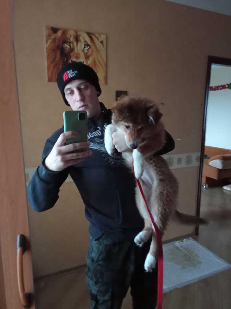 ���������� ������, ���� ������� ������, 36 ���, ������������ ��� ����� � ���������, c�������� ���������, ���������