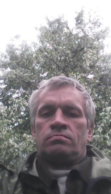  9822035  , 56 ,    -