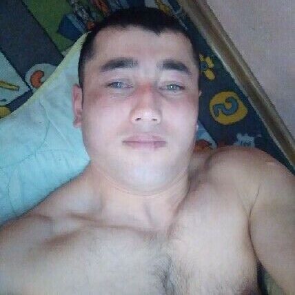 32320855  , 28 ,    