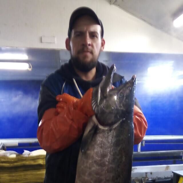 ���� 18233925 ������� �����, 39 ���, ���� ���������� � ������������