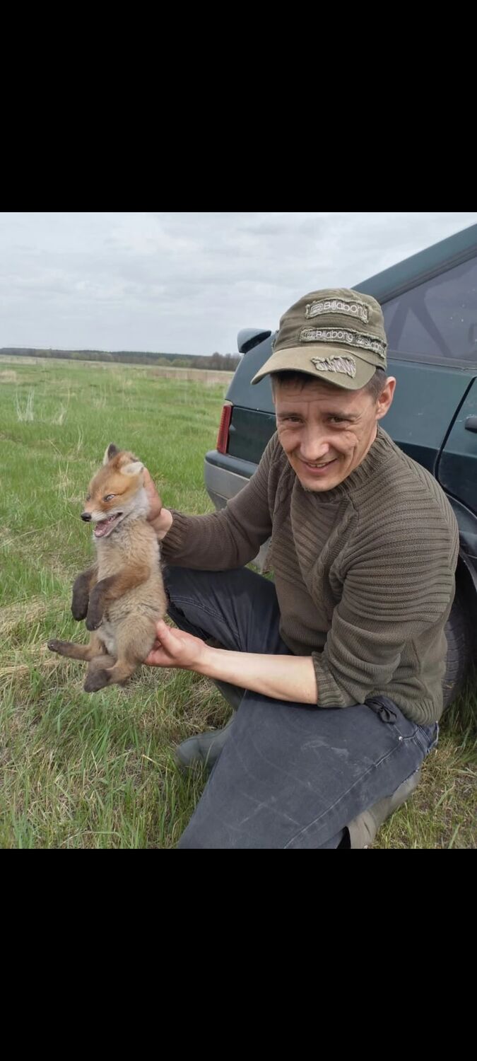 ���������� �����, ���� ������� ������, 41 ���, ������������ ��� ������, ����� � ���������, c�������� ���������