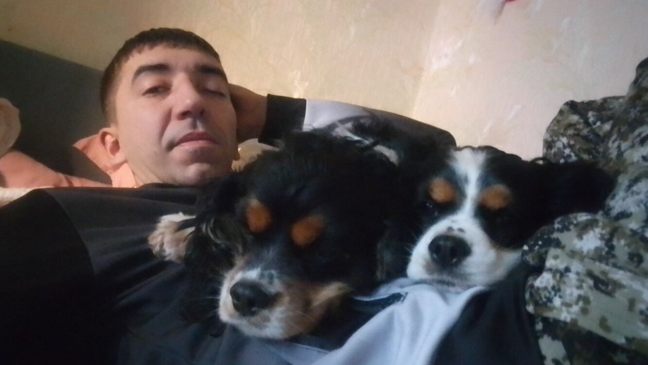 ���� 31359185 ������� �������, 38 ���, ���� ���������� � ������