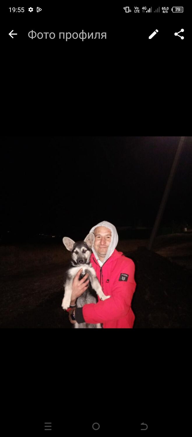 ���� 40881285 ������� �������, 36 ���, ���� ���������� � ������