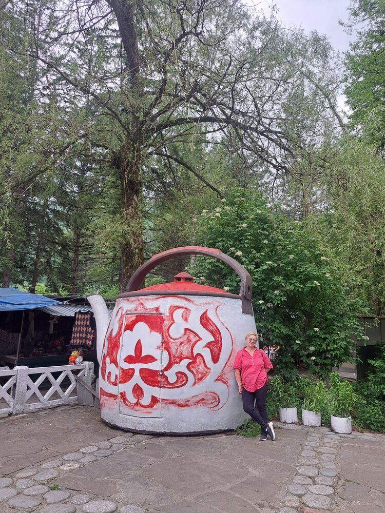  35358105  Elizaveta, 60 ,    