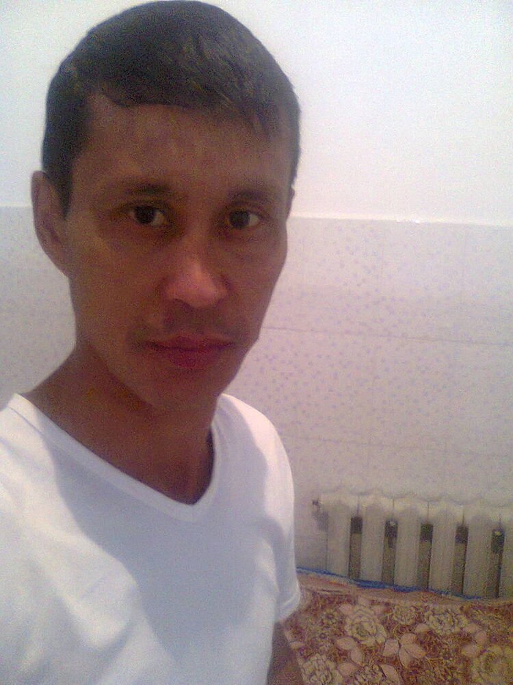  9428125  , 50 ,    