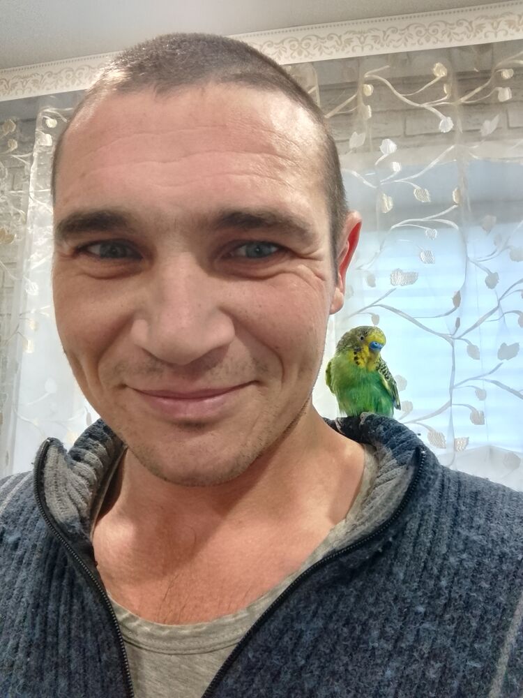  ,   , 38 ,   c 