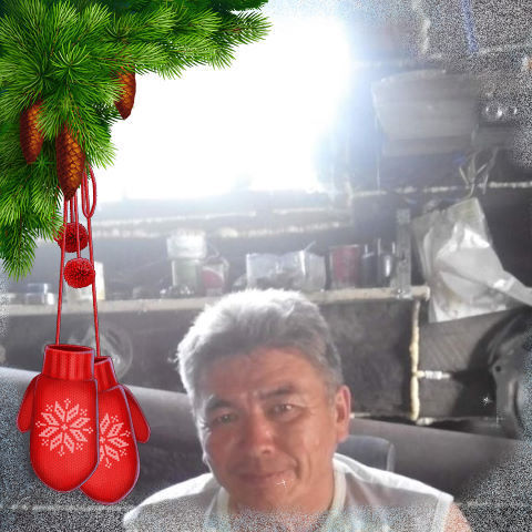 ���������� ��������, ���� ������� ����, 56 ���, ������������ ��� ������, ����� � ���������, c�������� ���������