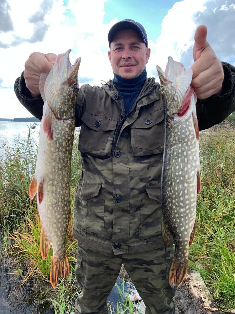 ���������� ������������, ���� ������� ��������, 41 ���, ������������ ��� ������, ����� � ���������, c�������� ���������