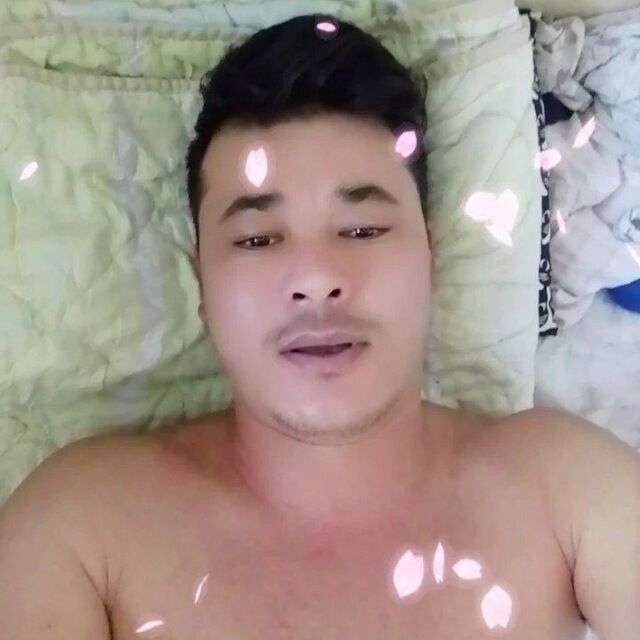  48266775   , 26 ,    -