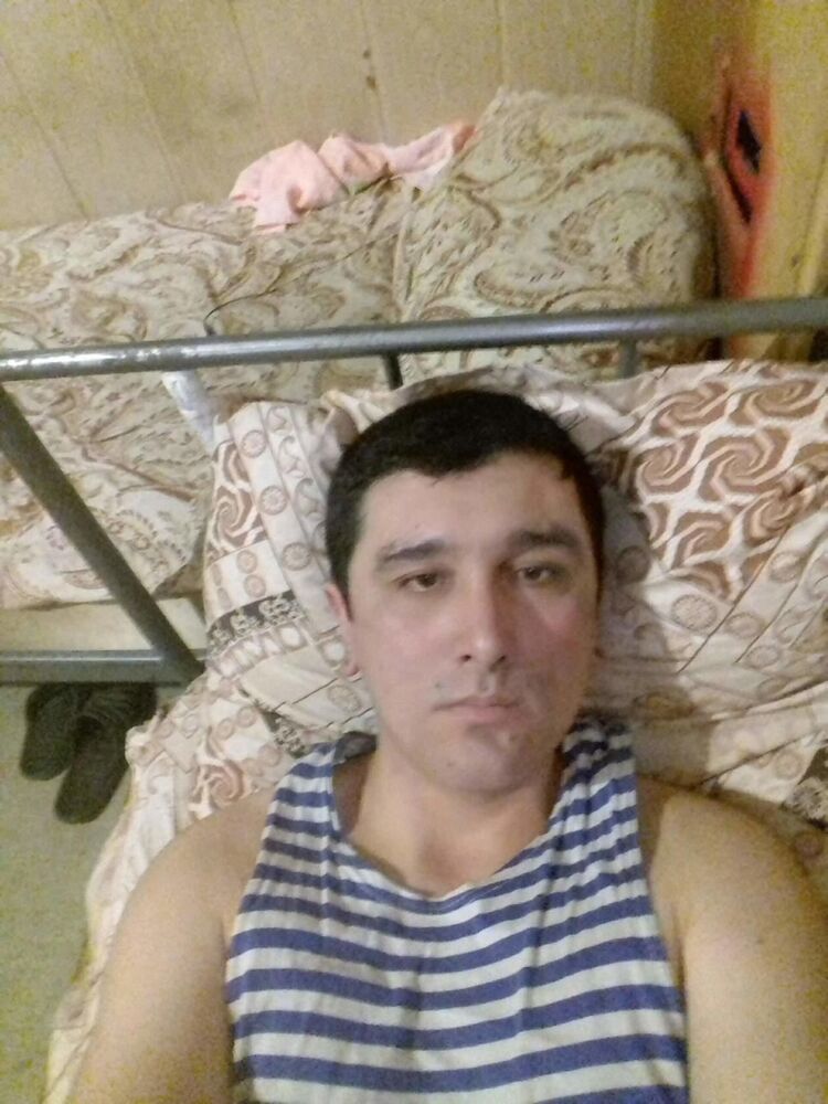  49641375  , 40 ,    