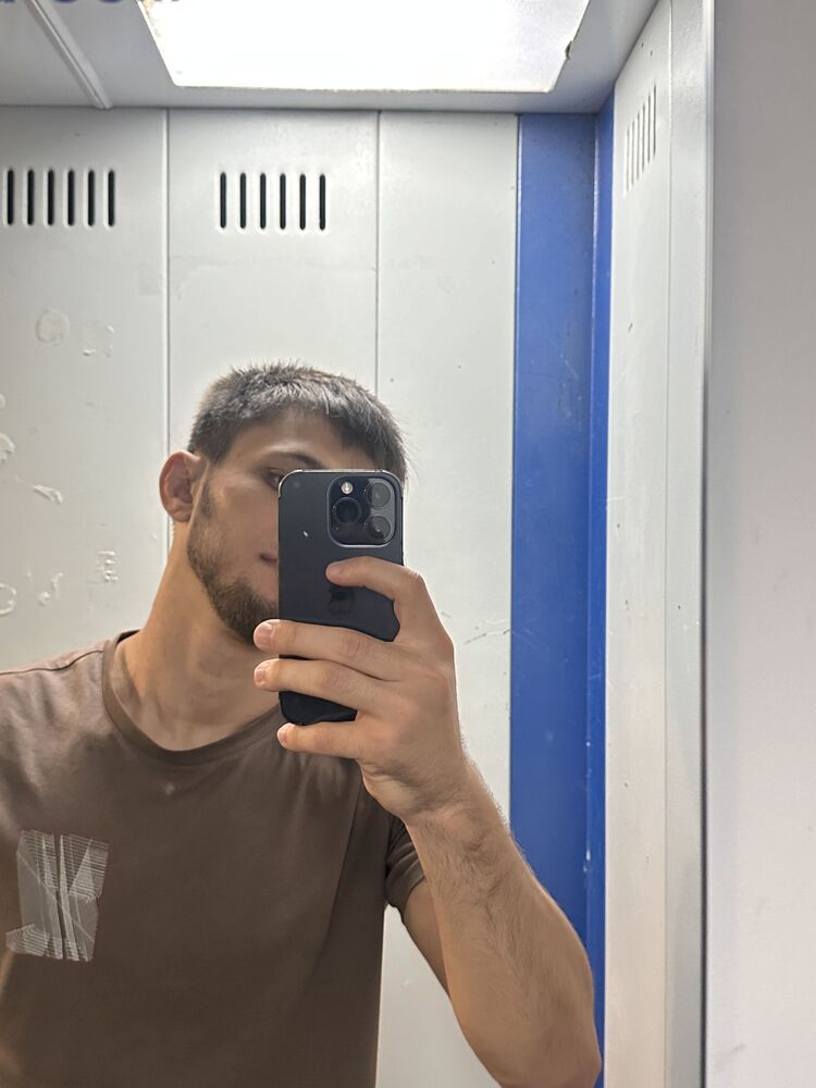  52875675  , 31 ,    