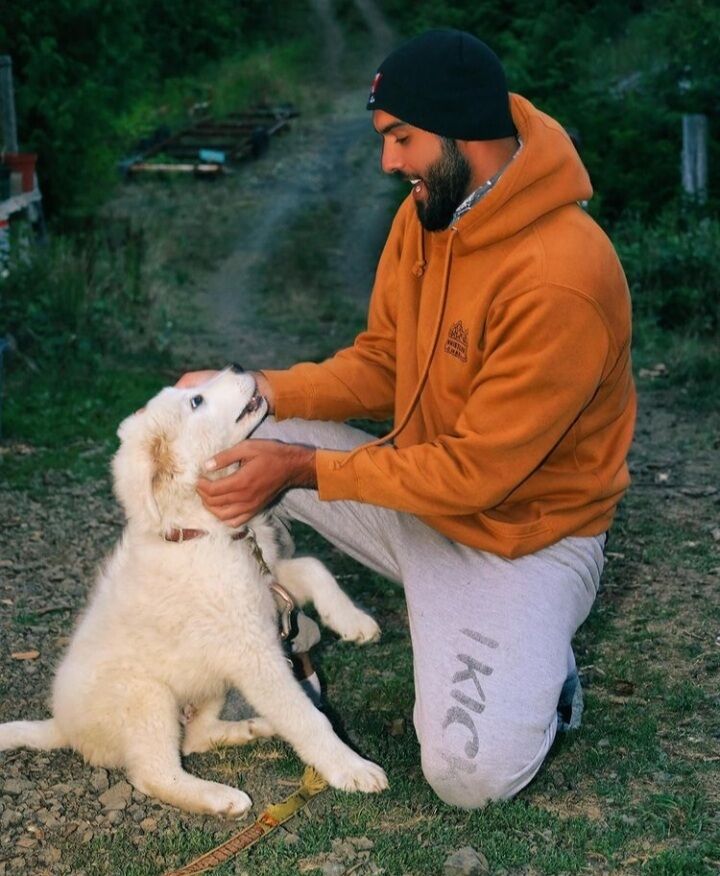 ���������� ������, ���� ������� ������, 34 ����, ������������ ��� ������, ����� � ���������, c�������� ���������