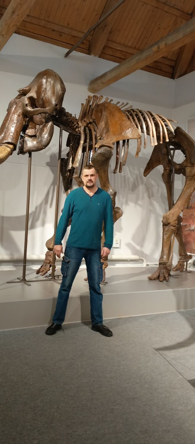  ,   , 46 ,   ,   
