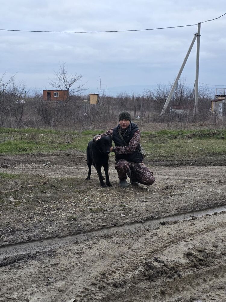 ���������� �����, ���� ������� �������, 48 ���, ������������ ��� ������, ����� � ���������, c�������� ���������, ���������