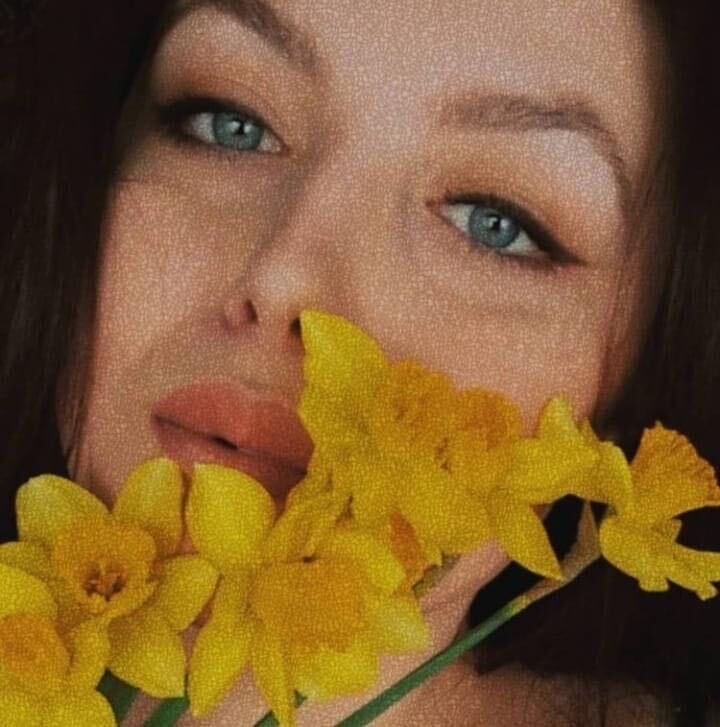  45354995  , 24 ,    
