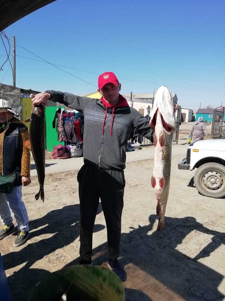 ���� 16958315 ������� �����, 40 ���, ���� ���������� � ��������