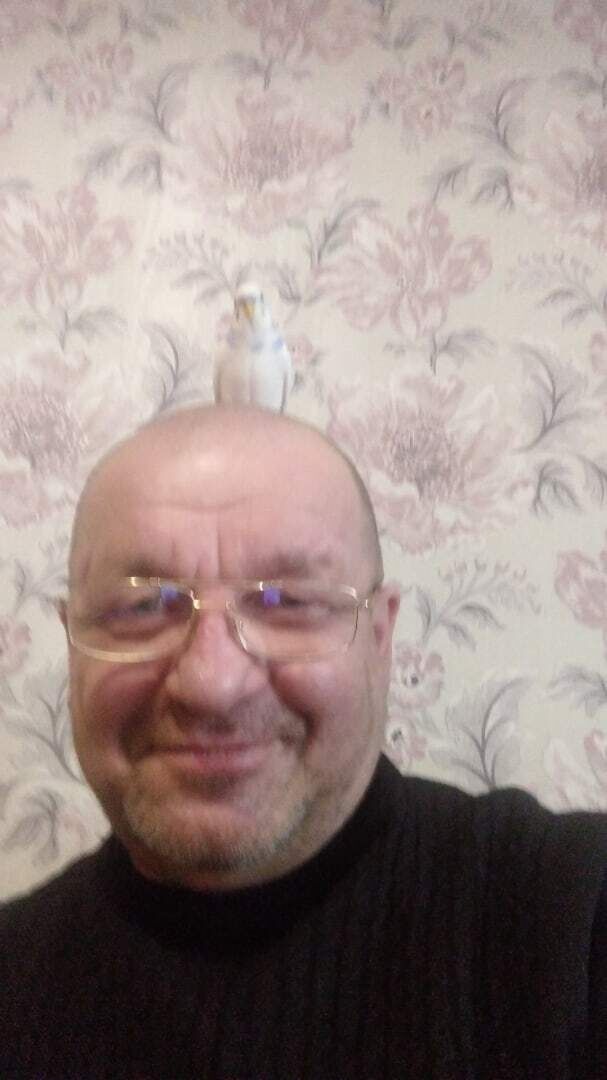  22657935  , 62 ,    