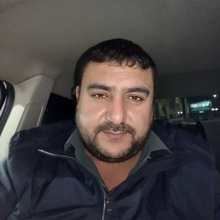  48083775  , 38 ,    