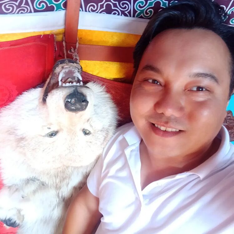 ���� 28612815 ������� �����, 36 ���, ���� ���������� � ������