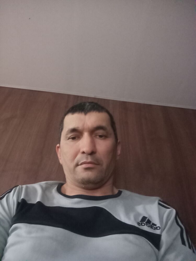  50133825  , 42 ,    