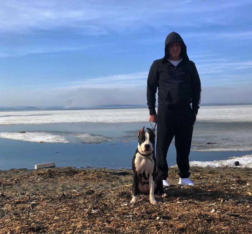 ���������� �����������, ���� ������� ����, 29 ���, ������������ ��� ������, ����� � ���������