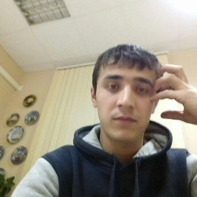  34751195  , 31 ,    