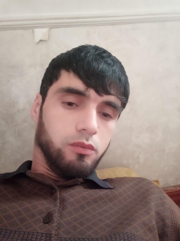  33065185  , 29 ,    