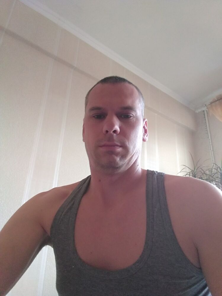  15563645  , 40 ,    