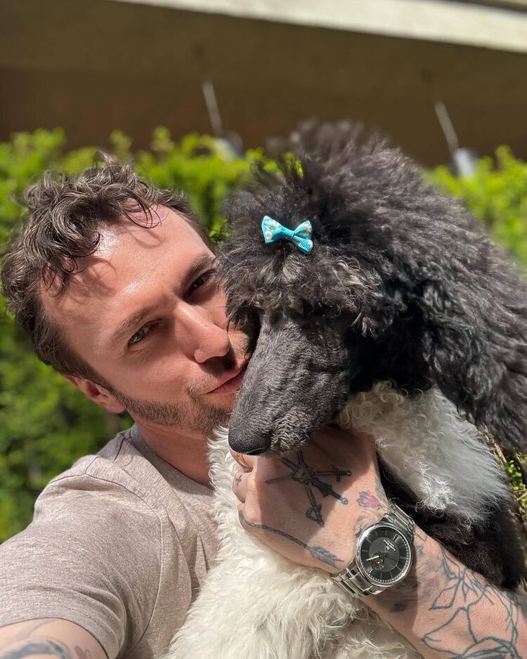 ���������� ���������, ���� ������� �������, 38 ���, ������������ ��� ������, ����� � ���������, c�������� ���������, ���������