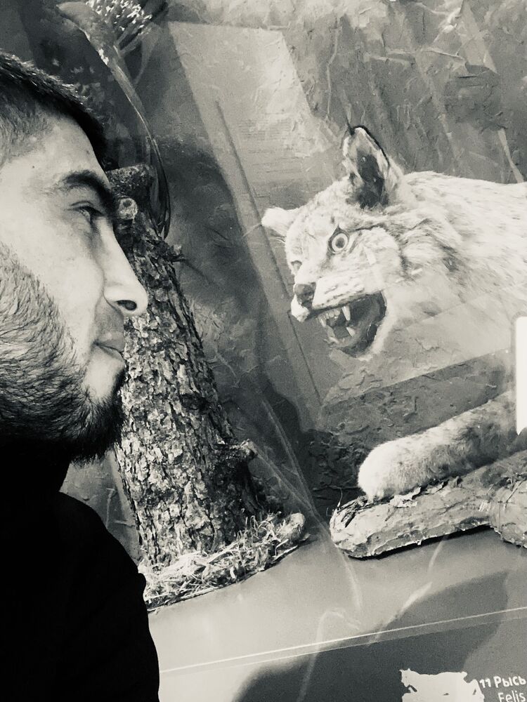 ���� 40362645 ������� Komil, 31 ���, ���� ���������� � �������������