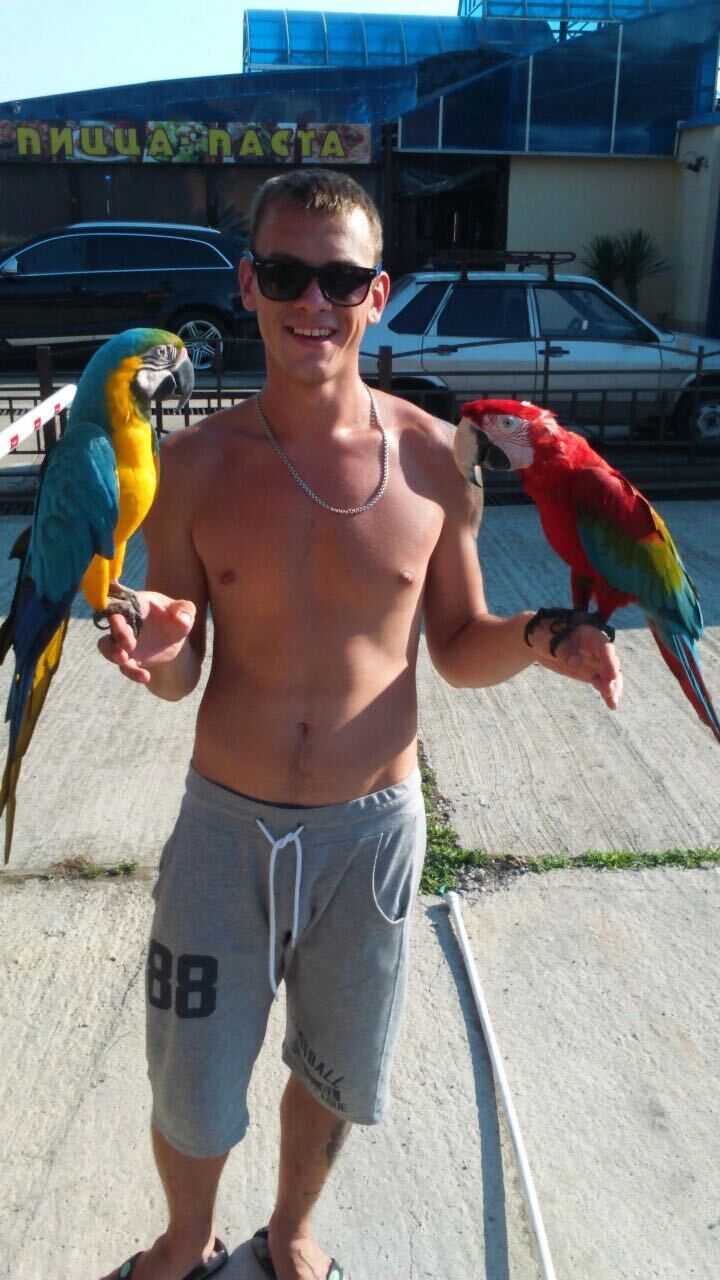 ���������� ���������, ���� ������� ������, 29 ���, ������������ ��� ������, ����� � ���������