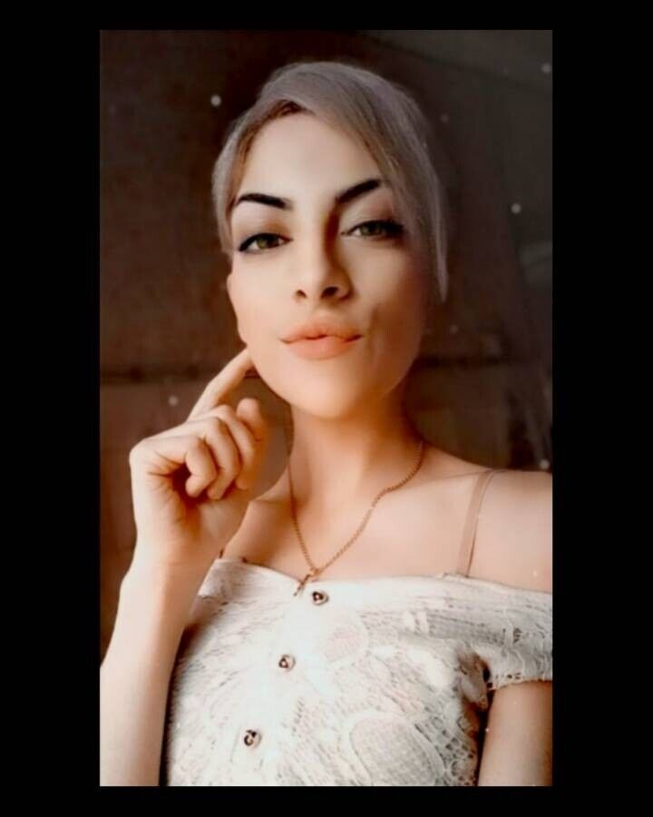  22497705  , 31 ,    